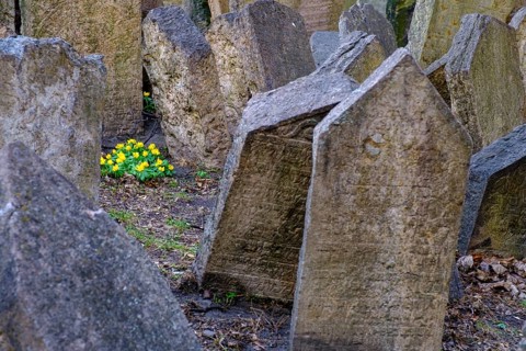 Gravestones, old Jewish cemetery, Jewish Museum, Josefstadt, Jewish Quarter, Prague, Bohemia, Czech