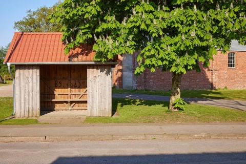 Bus shelter at a bus stop under a chestnut tree (Aesculus hippocastanum) in Schafstedt,