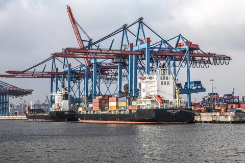 Ships with containers are unloaded at Burchardkai in the Port of Hamburg, 11/02/2014, Hamburg