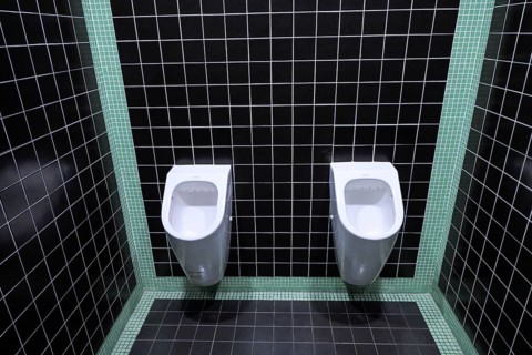 Toilet, European Parliament, 1 All. du Printemps, Strasbourg, Departement Bas-Rhin, France, Europe