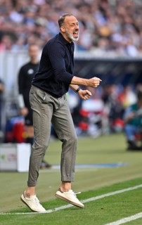 Coach Pellegrino Matarazzo TSG 1899 Hoffenheim engaged on the sidelines, gestures, gesture, PreZero