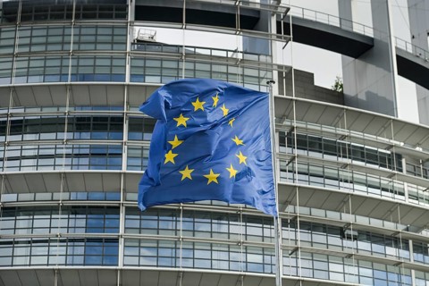 European flag, European Parliament, 1 All. du Printemps, Strasbourg, Departement Bas-Rhin, France,