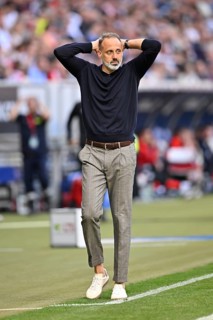 Coach Pellegrino Matarazzo TSG 1899 Hoffenheim engaged on the sidelines, gestures, gesture, PreZero