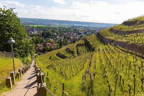 Winery at the Goldener Wagen. Spitzhaustreppe, Radebeul, Saxony, Germany, Europe