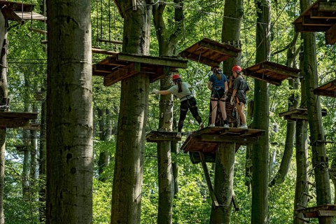 Group of young woman, girls climbing in the climbing forest, platforms, ropes, rope ladders, beech