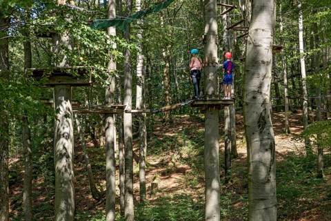 Woman and boy climbing in the climbing forest, platforms, ropes, rope ladders, suspension bridges,