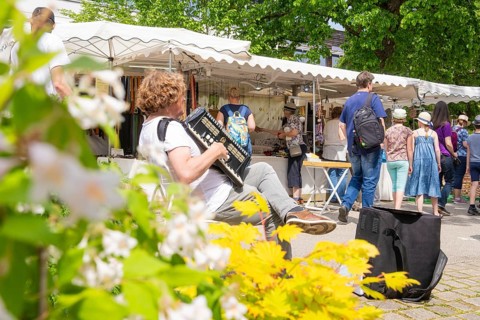 An accordion player entertains people at a market with stalls surrounded by flowers on a sunny day,