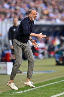 Coach Pellegrino Matarazzo TSG 1899 Hoffenheim engaged on the sidelines, gestures, gesture, PreZero