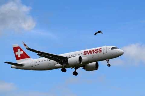 Aircraft Swiss, Airbus A320neo, HB-JDF