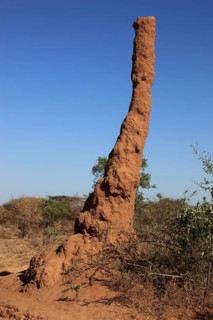 South Ethiopia, Omo Region, termite mound, termite burrow, Ethiopia, Africa