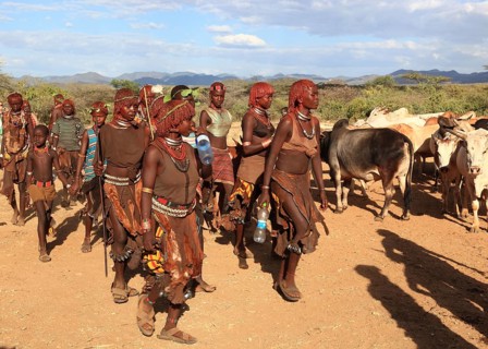 South Ethiopia, Omo region, among the tribe of the Hamar, Hamer, Hamma, Hammer, Amar or Amer, bulls