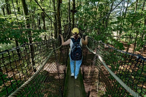 Sporty woman, tourist with rucksack in treetop path, suspension bridges, ropes, nets, beech forest,