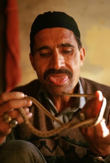 Traditional healer curing people with the help of a snake, Pakistan, Asia