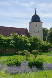 Monastery garden in Schoental, herb garden, herbal pharmacy, Way of St James, monastery pharmacy,
