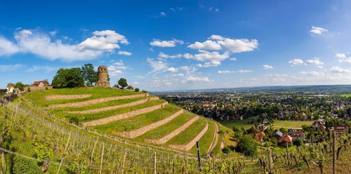 Winery at the Goldener Wagen. The Bismarck Tower in Radebeul, also known as the Bismarck Column, is
