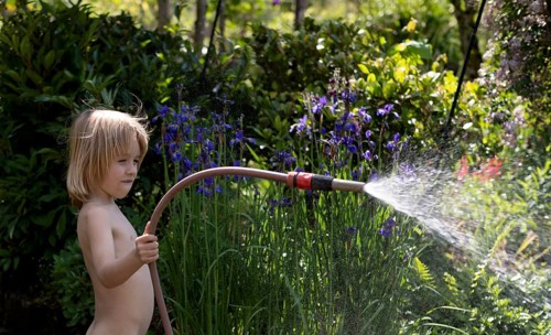Boy, 5 years, blonde, watering flowers, spraying with garden hose, garden, summer, Stuttgart,