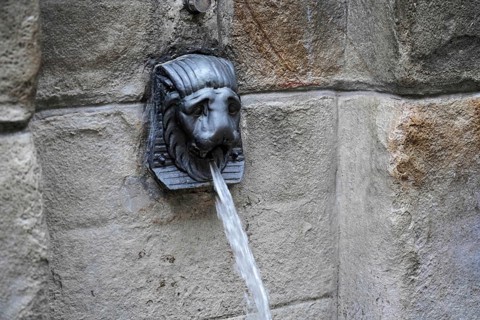 Bilbao, Basque Country, Spain, Europe, Close-up of a lion's head as a gargoyle on a stone wall,