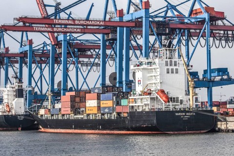 Ships with containers are unloaded at Burchardkai in the Port of Hamburg, 11/02/2014, Hamburg