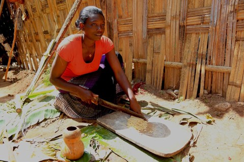 South Ethiopia, among the Dorze people, woman processes the mass of the ground false banana, which