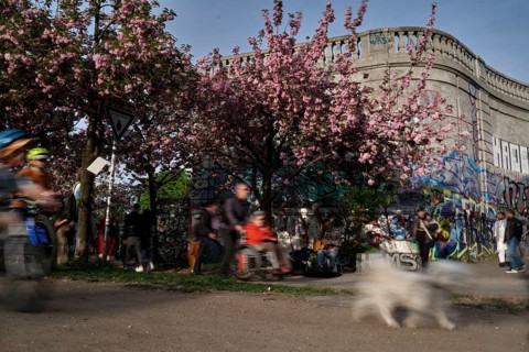 Germany, Berlin, 13.04.2024, Cherry Blossom Norwegerstrasse / Norwegerweg, Boesebruecke, Music,