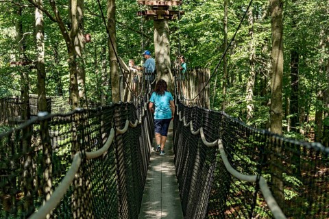 Sporty woman, tourist in treetop path, suspension bridges, ropes, nets, beech forest, family