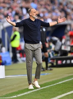 Coach Pellegrino Matarazzo TSG 1899 Hoffenheim engaged on the sidelines, gestures, gesture, PreZero