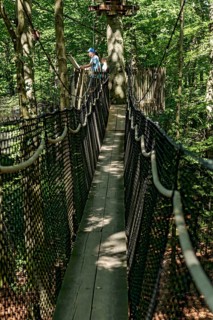 Sporty family, tourists in treetop path, suspension bridges, ropes, nets, beech forest, family