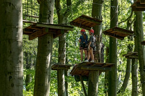 Group of young woman, girls climbing in the climbing forest, platforms, ropes, rope ladders, beech