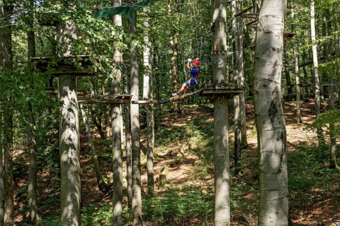 Boy climbing in the climbing forest, platforms, ropes, rope ladders, suspension bridges, beech