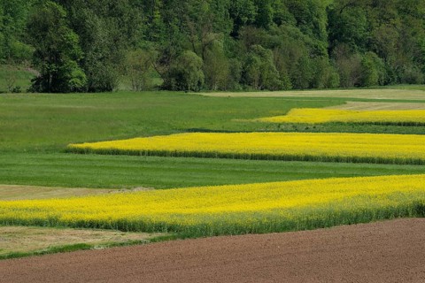 Middle Jagst valley in spring, May, river valley, river, Jagst, Baechlingen,