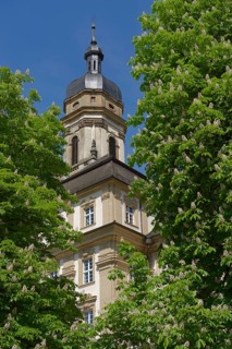 Monastery church, church tower, Schoental, chestnut tree, horse chestnut, common horse-chestnut