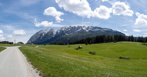 Meadow at the edge of the forest, behind the Grimming, Salzkammergut cycle path, panoramic view,