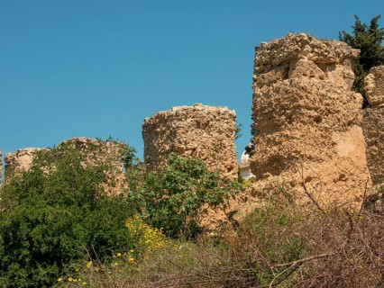 Ancient stone ruins of walls and towers, partly overgrown with plants, Tunis in Africa with ruins