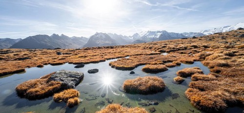 Small lake on the high plateau of the Gurgler Seenplatte, glaciated mountain peaks in the