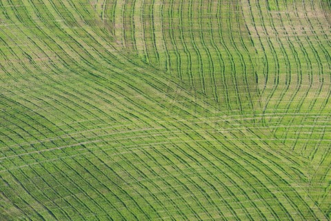 Traces on a cultivated area, Crete Senesi, Province of Siena, Tuscany, Italy, Europe