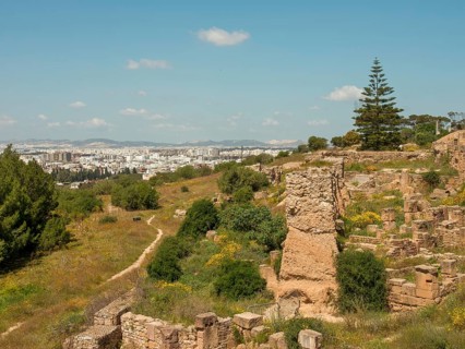 Ruins and cityscape in the background with vegetation and a path under a blue sky, Tunis in Africa
