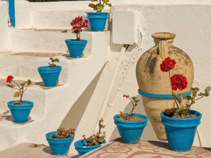 Blue flower pots with red flowers on a white staircase and terrace, Tunis in Africa with ruins from