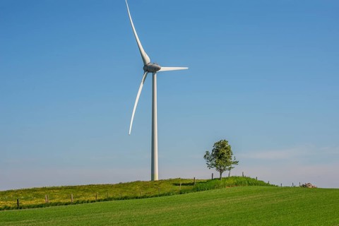 Wind turbine and lone tree in green landscape against blue sky at Smedstorp, Tomelilla