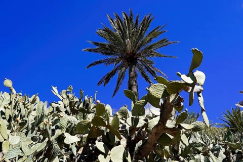 Mountain village Masca, Masca Gorge, Montana Teno Mountains, Tenerife, Canary Islands, Spain,