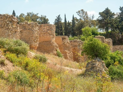 Remains of ancient walls in a landscape of green and yellow vegetation under a blue sky, Tunis in