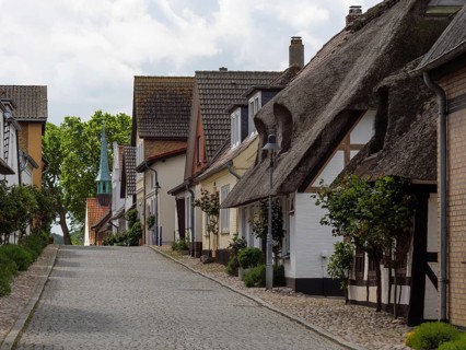 Historic cobbled village street with thatched roof houses and brick houses, lined with trees,