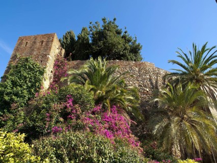 Lush stone wall with colourful flowers and palm trees next to it, clear blue sky, spring with
