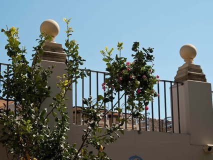 Balustrade with plants in pots and decorations, blue sky above in sunny weather, the town of mdina