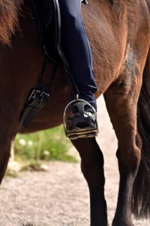 Close-up of rider's leg and stirrup during training of an Icelandic horse equipped with saddle, bit
