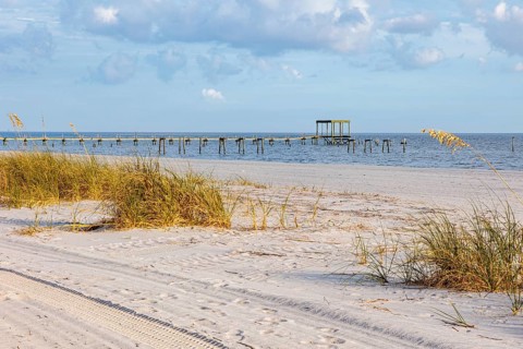 Sea oats and abandoned damaged piers along the man-made sand beach at Pass Christian, Mississippi,