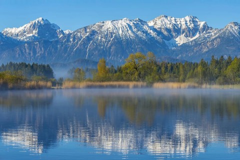 Morning atmosphere at the Hopfensee, near Fuessen, Ostallgaeu, Allgaeu, behind the Allgaeu Alps,