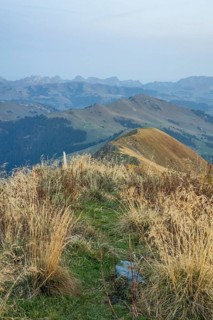 Path through the grasses, leading to a mountain range in the background, mountain panorama with