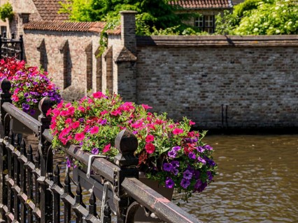 Colourful flower box on the railing of a canal with historic buildings in the background on a