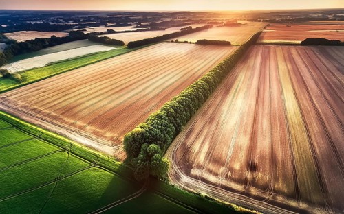 Field hedges from above, between the fields serve as biotope and protection against soil erosion,