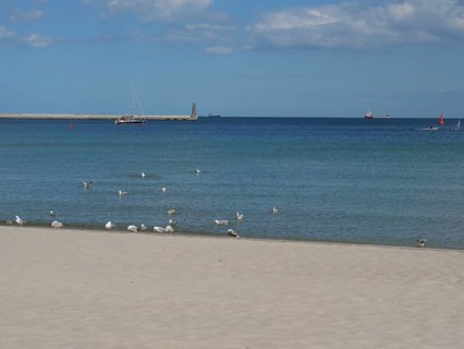 Quiet sandy beach with seagulls on the shore, view of the sea with a sailing boat and a lighthouse
